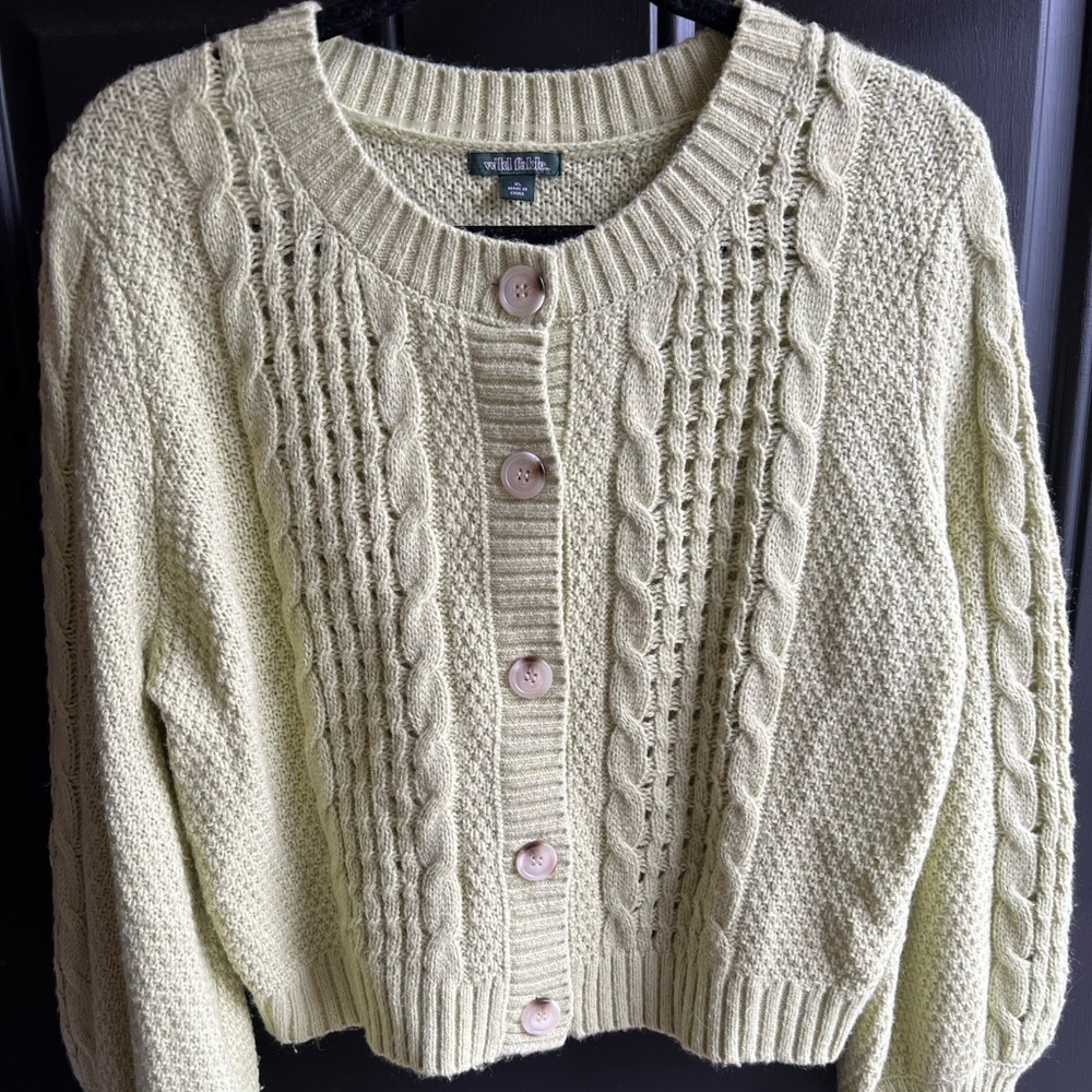 Wild Fable Cable Knit Sweater